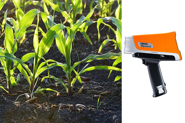 1648605365210610.jpg 600.jpg